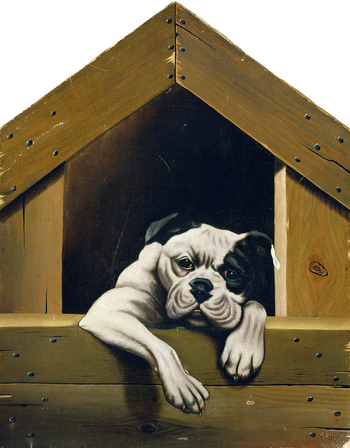 Bulldog, C1880 Painting by Granger
