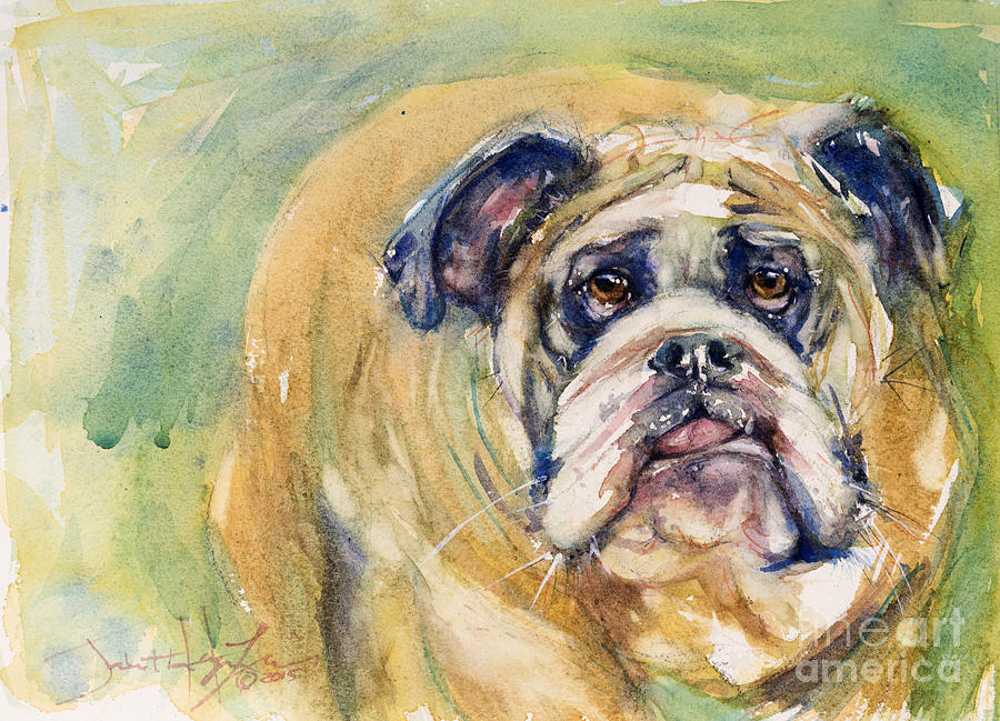 Bulldog Painting by Judith Levins