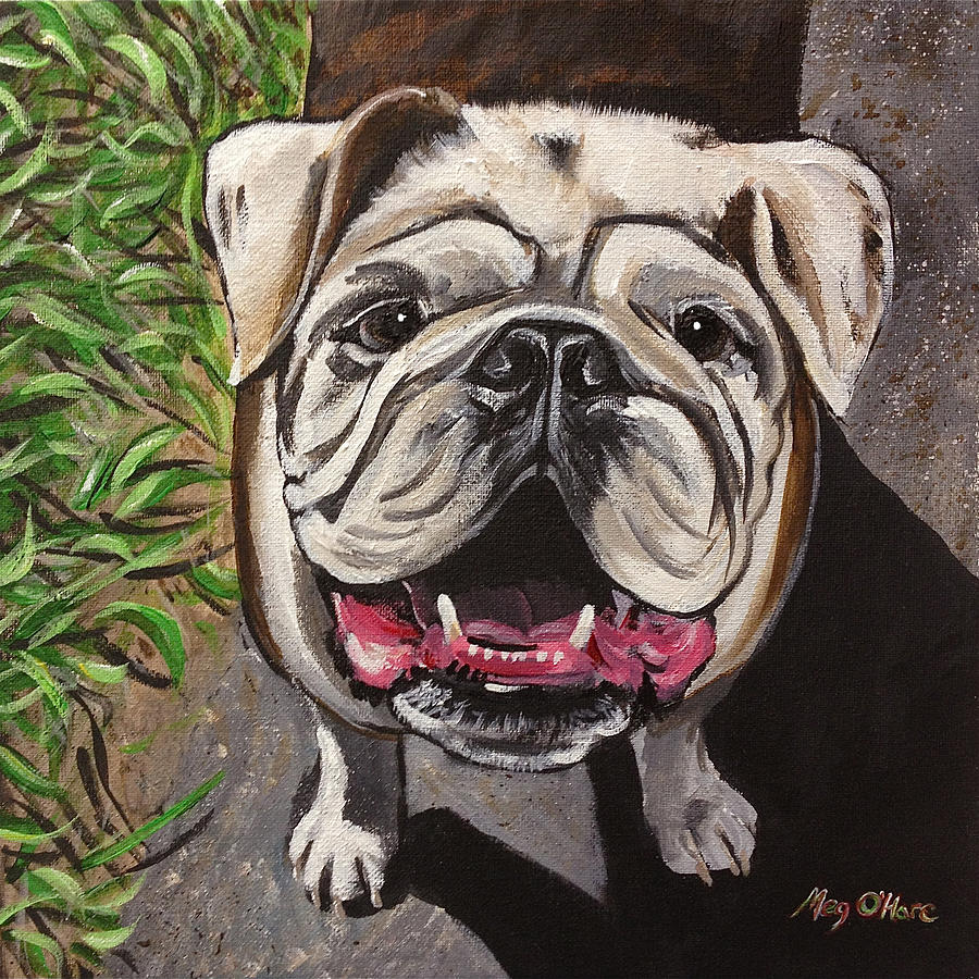 Bulldog Painting by Meghan OHare