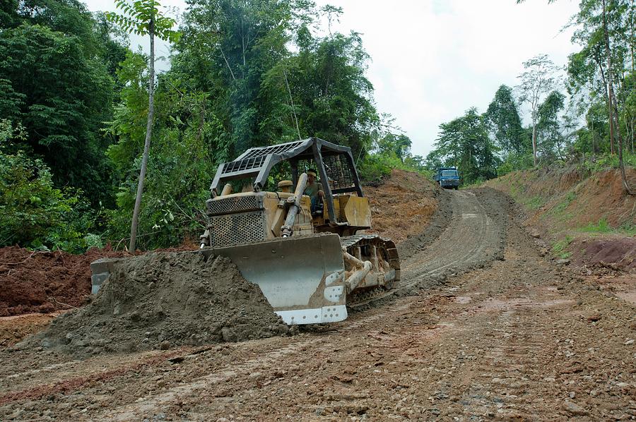 Bulldozer Clearing Road In Jungle Photograph by Scubazoo