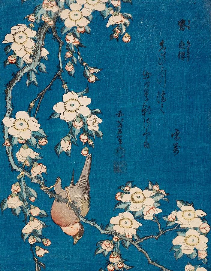 Bullfinch and Weeping Cherry Painting by Katsushika Hokusai