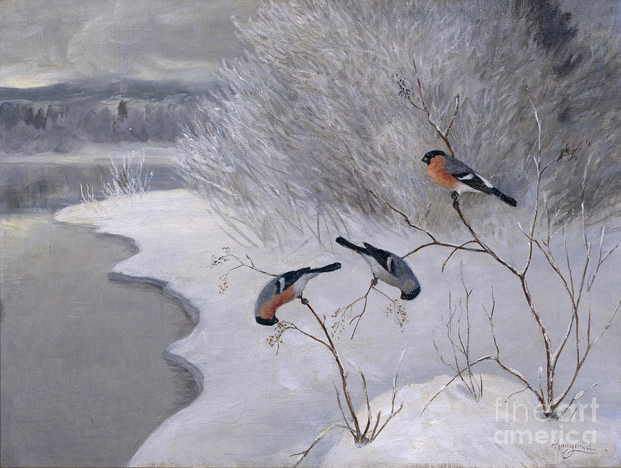 Bullfinches Painting by Anders Kongsrud
