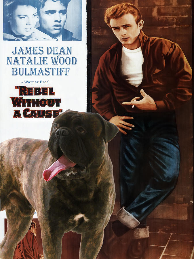 Bullmastiff Art Canvas Print - Rebel Without A Cause Movie Poster Painting