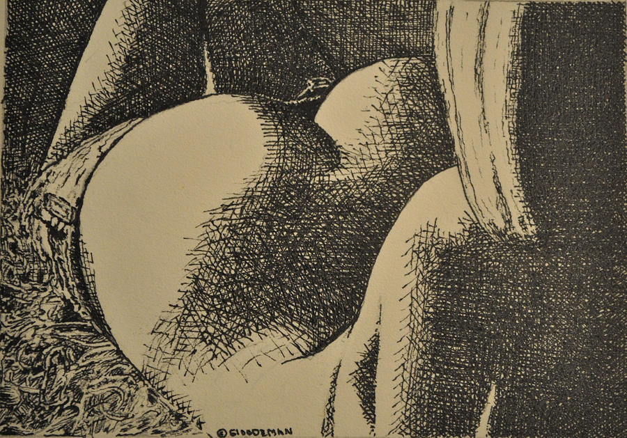Nude Drawing - Bum by Denis Gloudeman