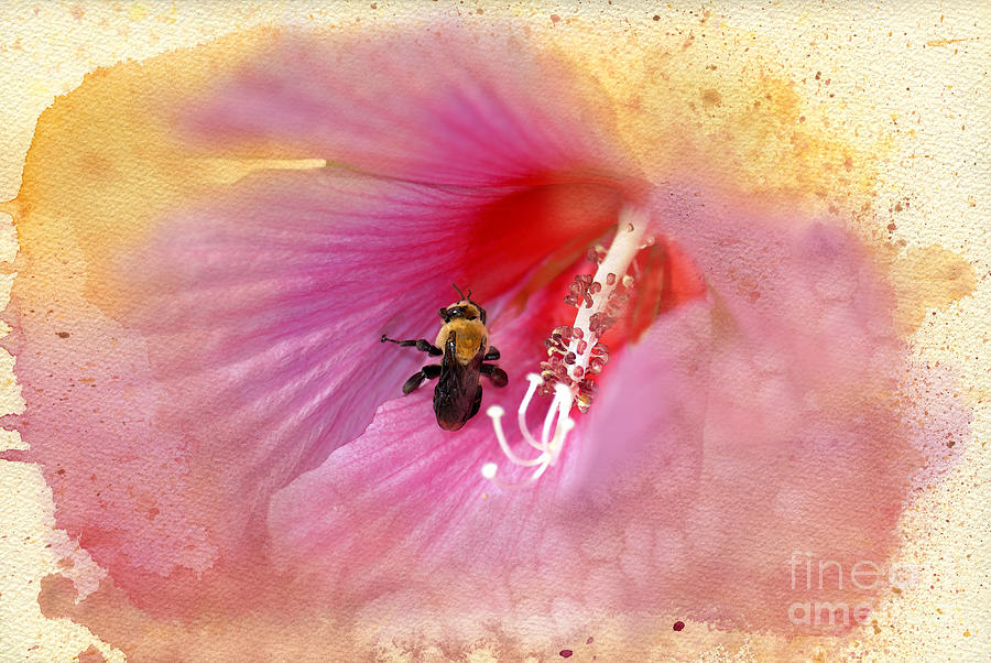 Bumble Bee Bliss Photograph