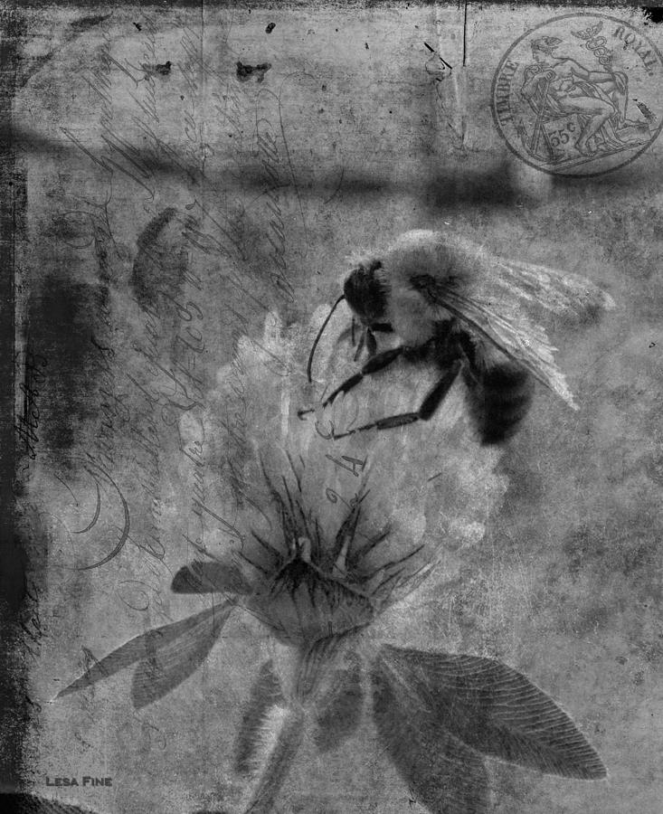 Bumble Bee Post Card 2 BW Photograph by Lesa Fine