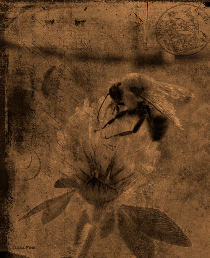 Bumble Bee Post Card 2 Sepia Photograph by Lesa Fine