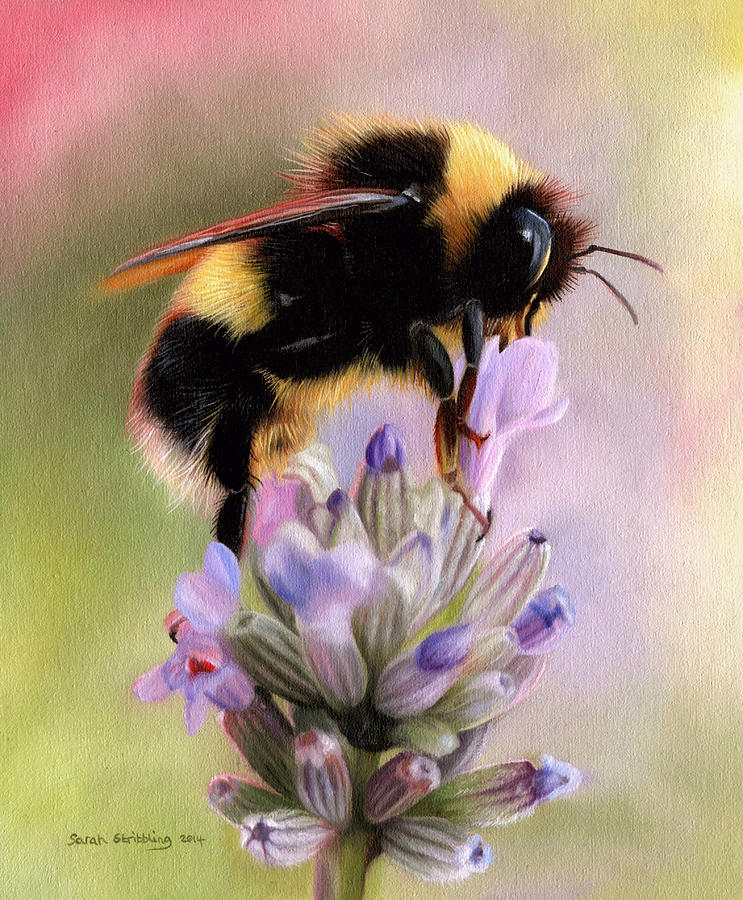Bumble Bee Painting by Sarah Stribbling