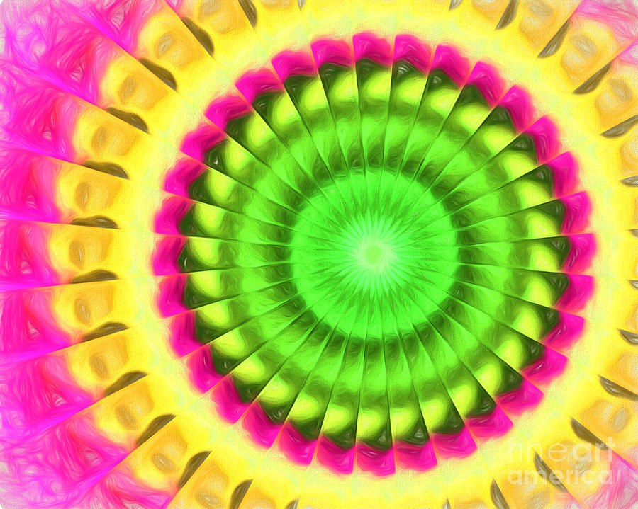 Abstract Digital Art - Bumblebee Kaleidoscope by Terry Weaver