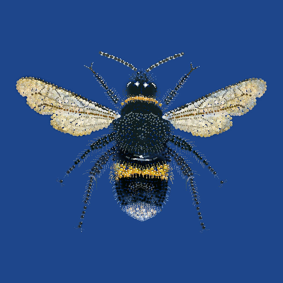 Bumblebee Lt. Blue Digital Art by Roger Swezey