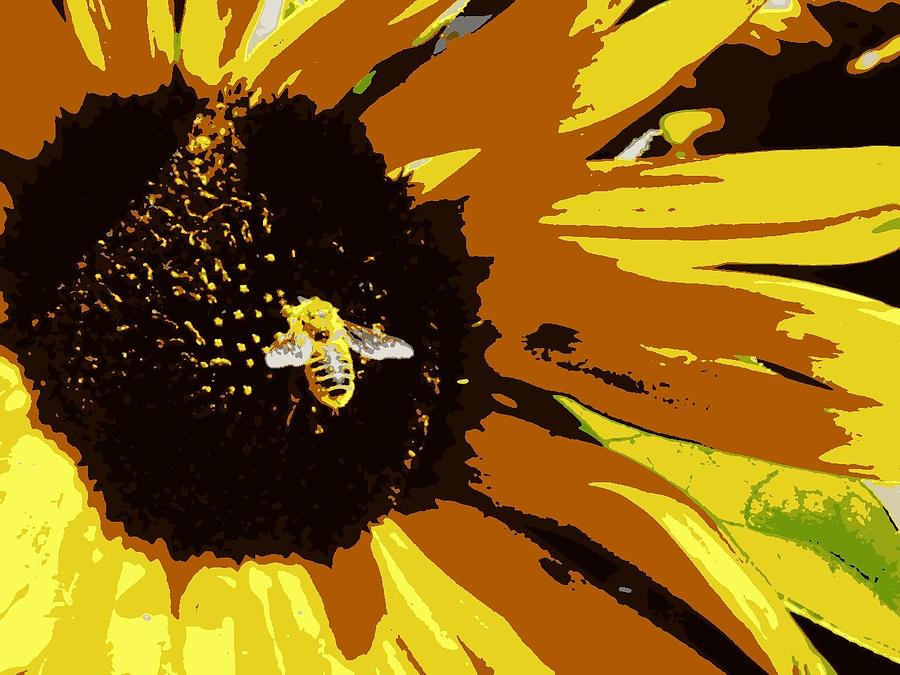 Sunflower Photograph - Bumblebee on Sunflower by Rachel Vdolek