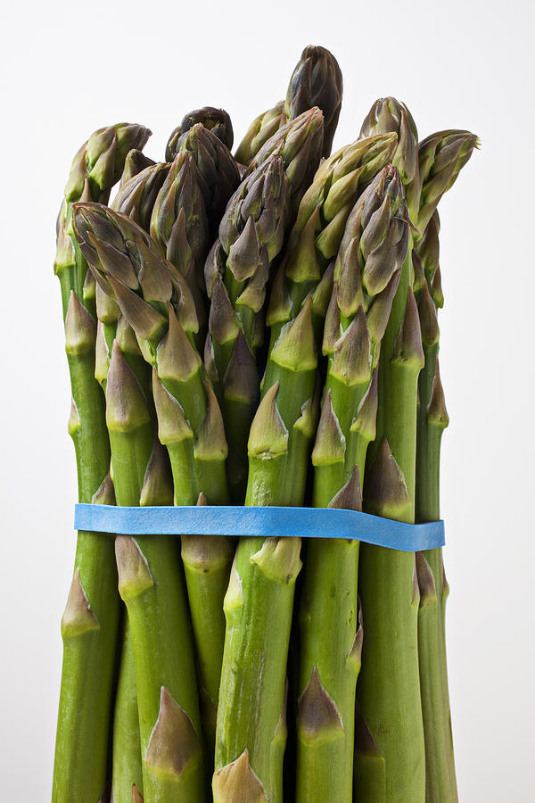 Asparagus Photograph - Bunch of asparagus  by Garry Gay