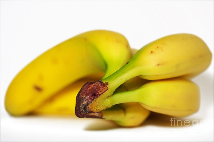 Bunch Of Bananas Photograph by Nick  Biemans