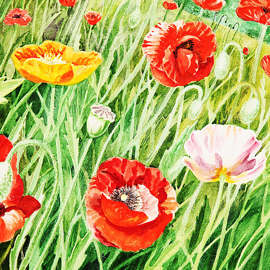 Poppy Painting - Bunch Of Poppies I by Irina Sztukowski