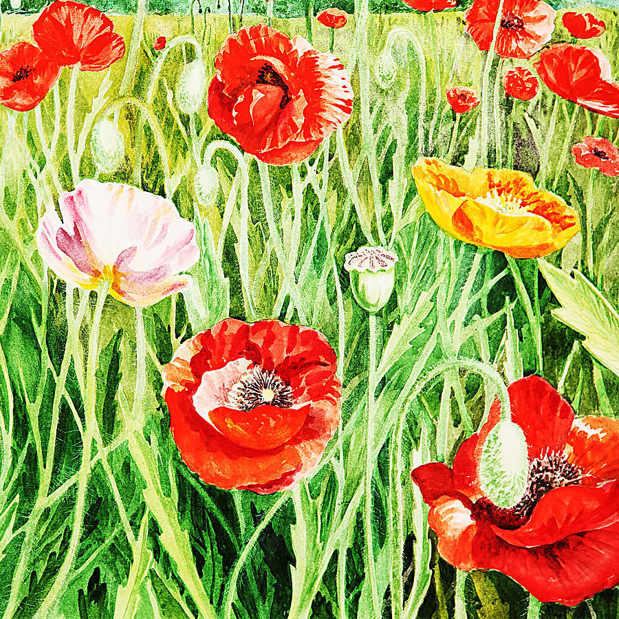 Poppy Painting - Bunch Of Poppies II by Irina Sztukowski
