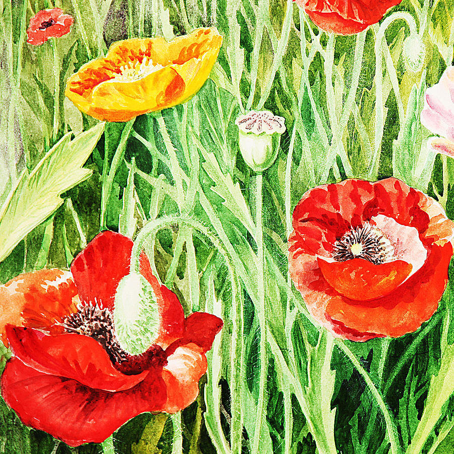 Poppy Painting - Bunch Of Poppies III by Irina Sztukowski