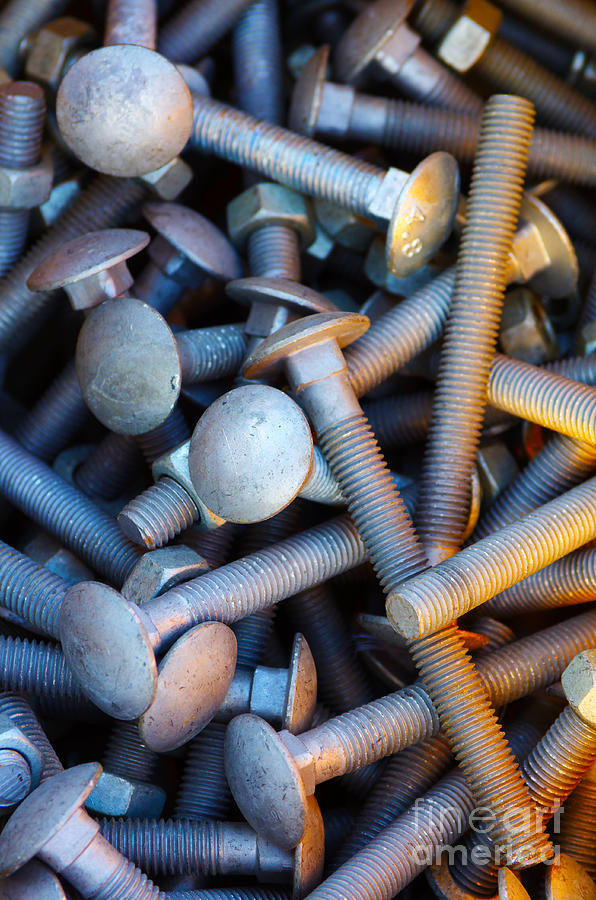 Tool Photograph - Bunch of Screws by Carlos Caetano