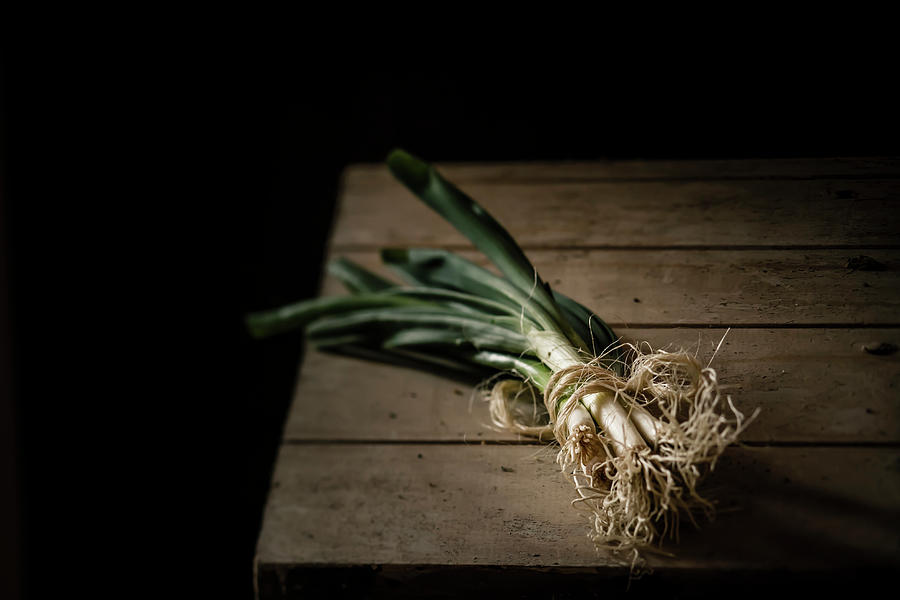 Bunch Of Spring Onions Tied With Photograph by Westend61