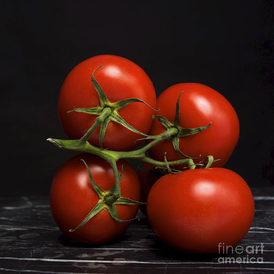 Still Life Photograph - Bunch of tomatoes. by Bernard Jaubert