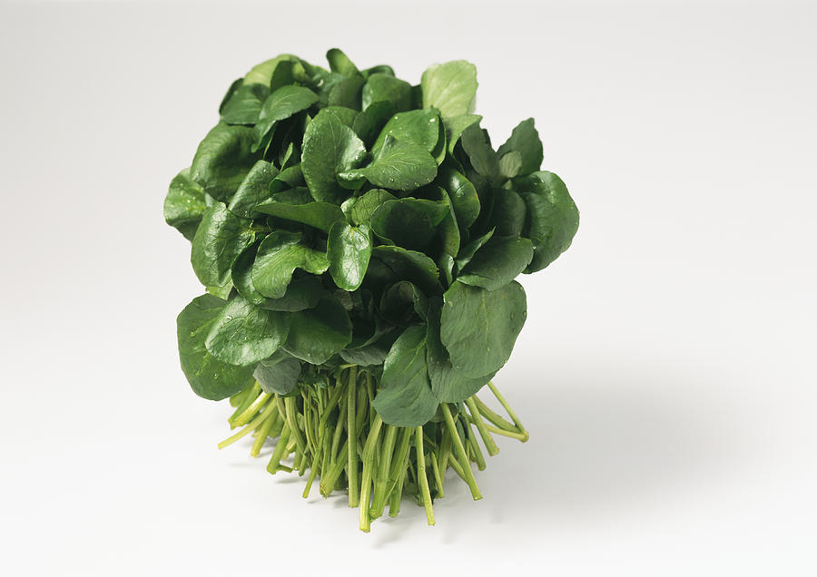 Bunch of watercress Photograph by Isabelle Rozenbaum