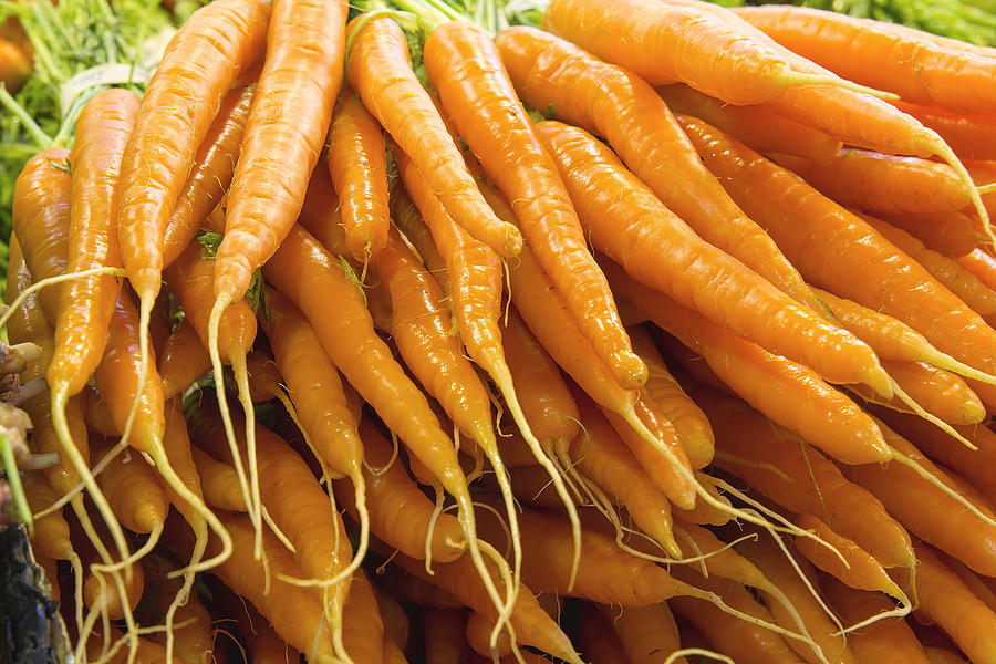 Bunches Of Carrots Closeup Photograph
