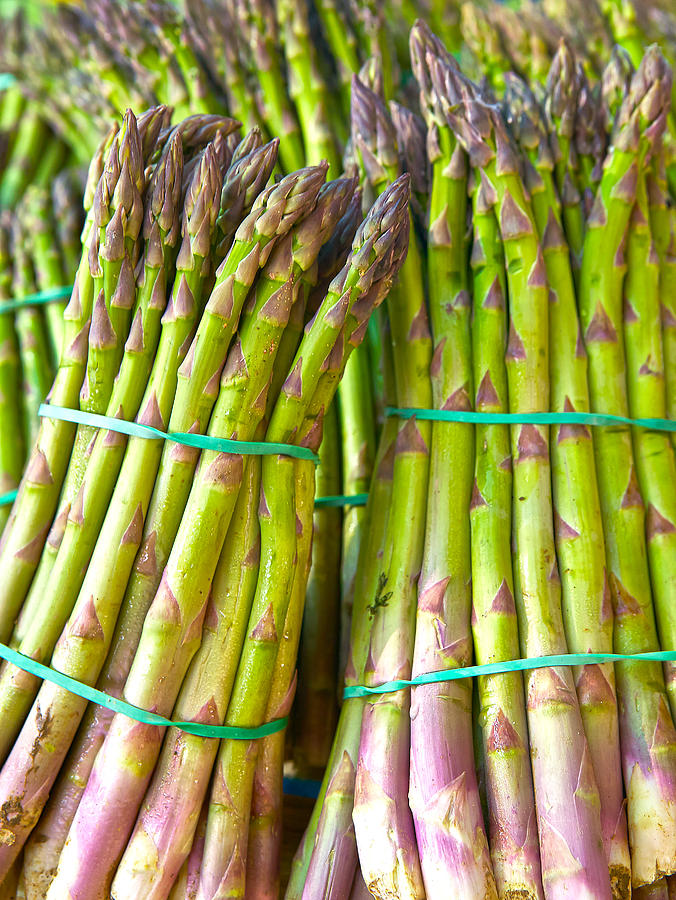 Bunches of green asparagus Photograph by Laurence Delderfield