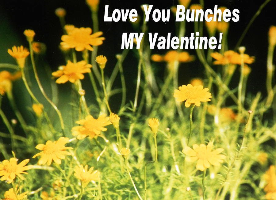 Bunches of Valentine Love Photograph by Belinda Lee