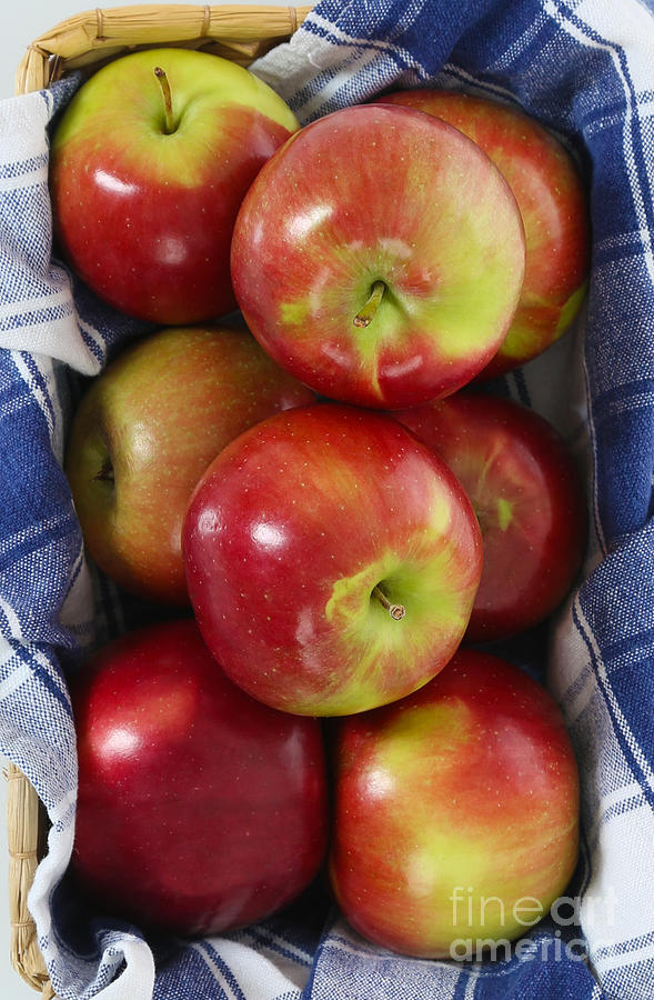 Bundle of McIntosh Apples Photograph by Jt PhotoDesign Fine Art America