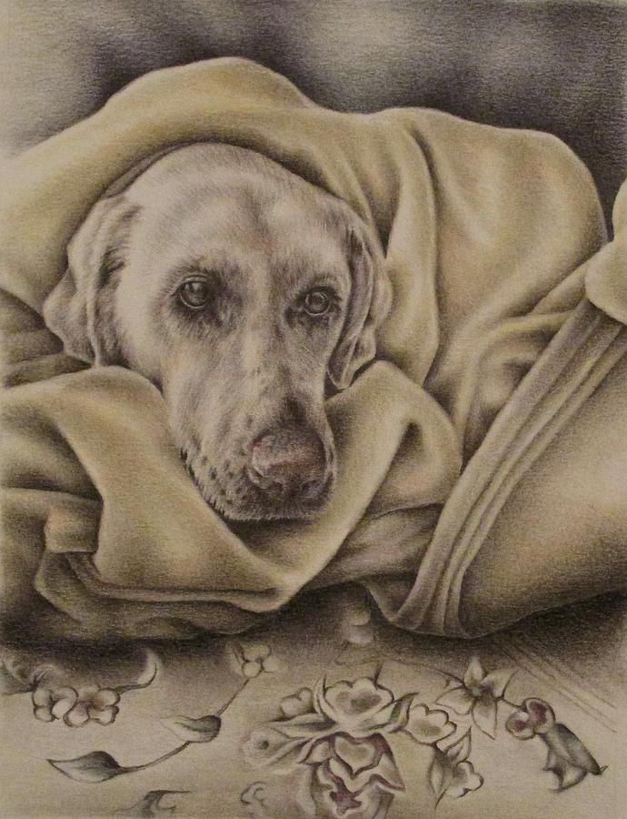Dog Drawing - Bundled Up by Lisa Marie Szkolnik