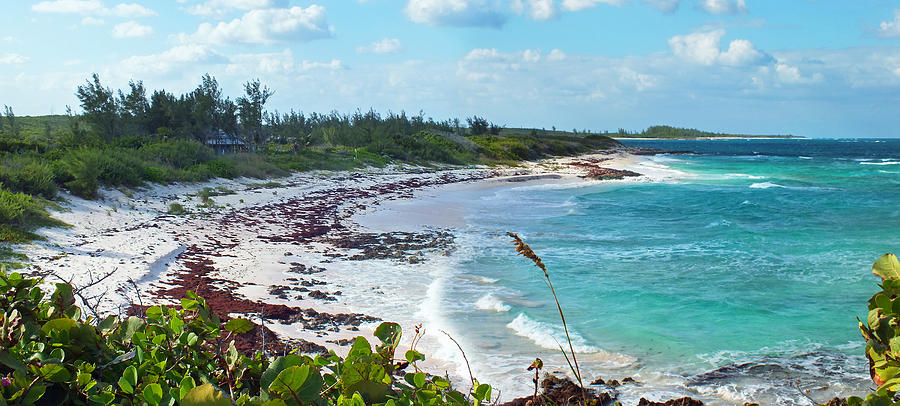 Bungalow Beach on Eleuthera Photograph by Duane McCullough