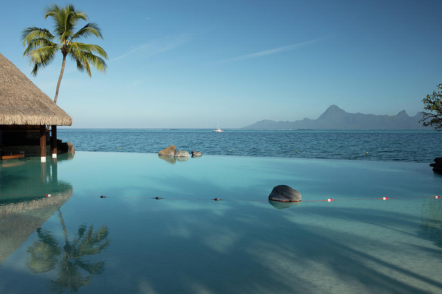 Bungalows And Palm Trees On The Coast Photograph by Panoramic Images ...