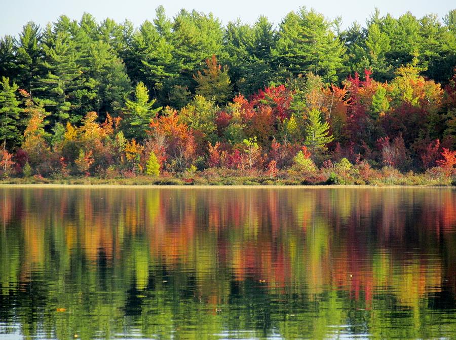 Bunganut Lake Maine Foliage 2 Photograph by Lynne Miller - Fine Art America