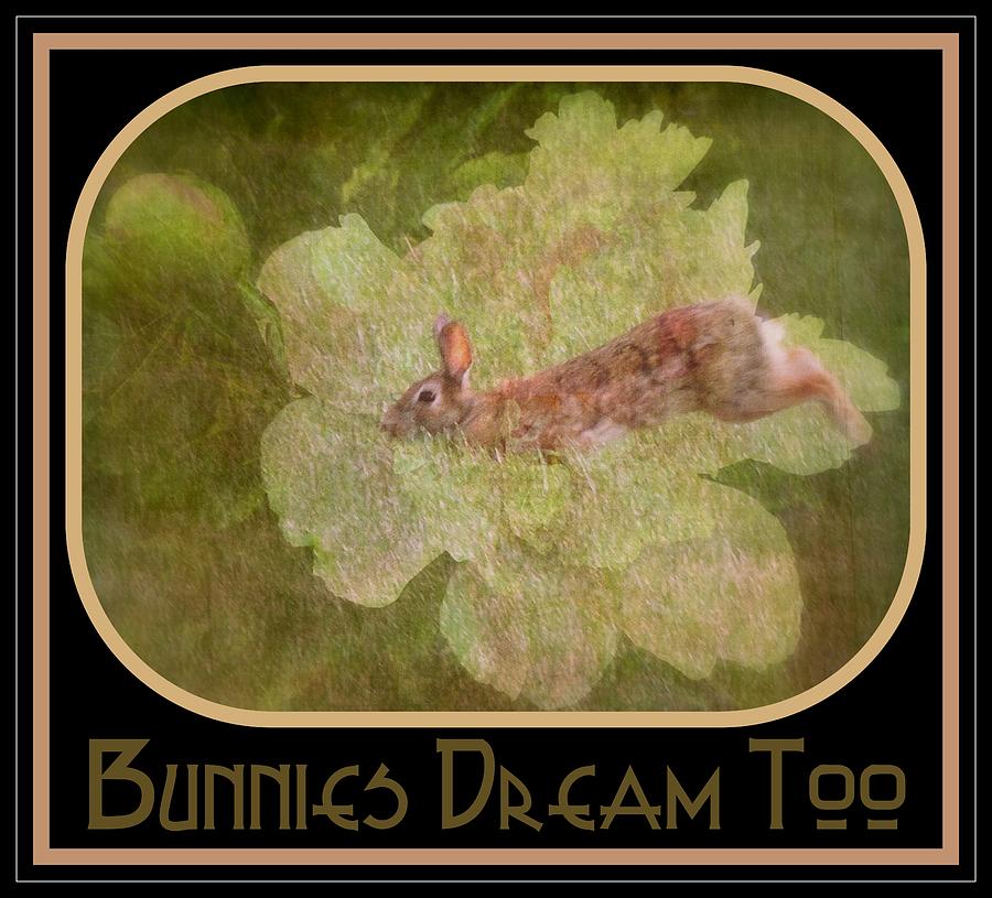 Bunnies Dream Too Photograph by Jodie Marie Anne Richardson Traugott          aka jm-ART