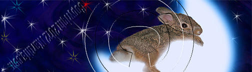 Cake Photograph - Bunny Rabbit on Moon # 531 by Jeanette K