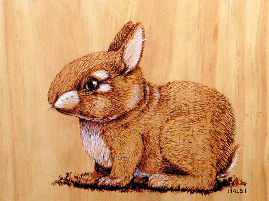 Bunny Pyrography by Ron Haist