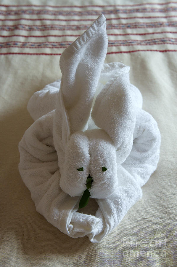 Bunny Towel Origami Photograph by John  Mitchell