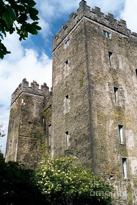 Bunratty Castle Photograph - Bunratty Castle by Mark Guilfoyle