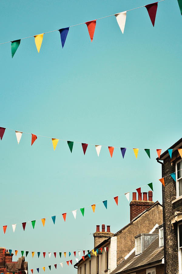 Bunting Photograph - Bunting by Tom Gowanlock
