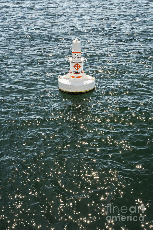 Buoy in harbor Photograph by Bryan Mullennix