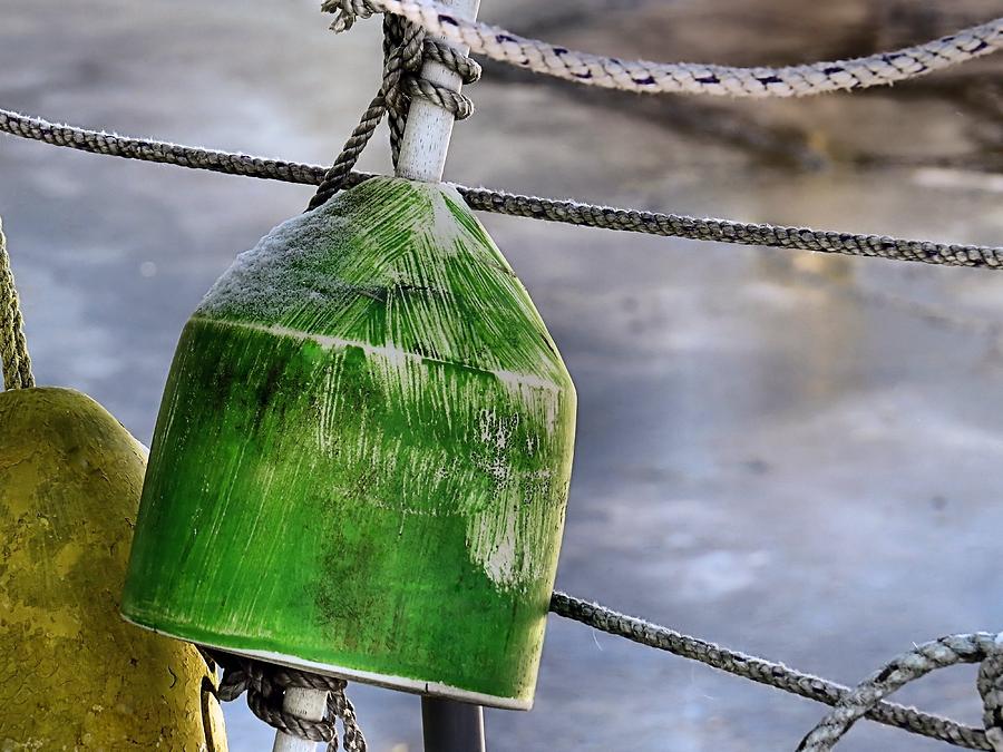 Buoys and Rope Photograph by Janice Drew