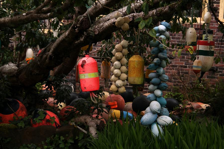 Tree Photograph - Buoys Hanging In A Tree  by Jeff Swan