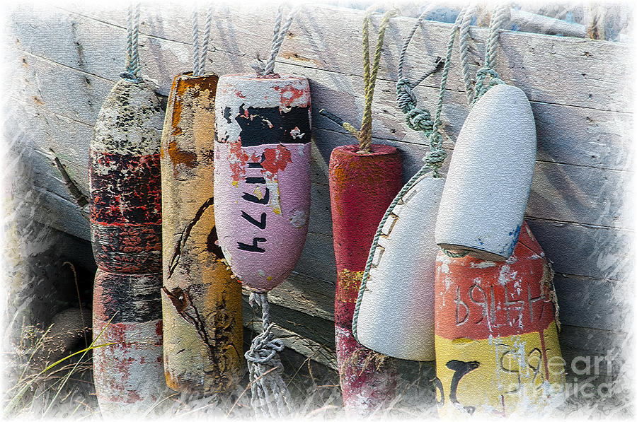 Buoys hanging on boat Photograph by Dan Friend