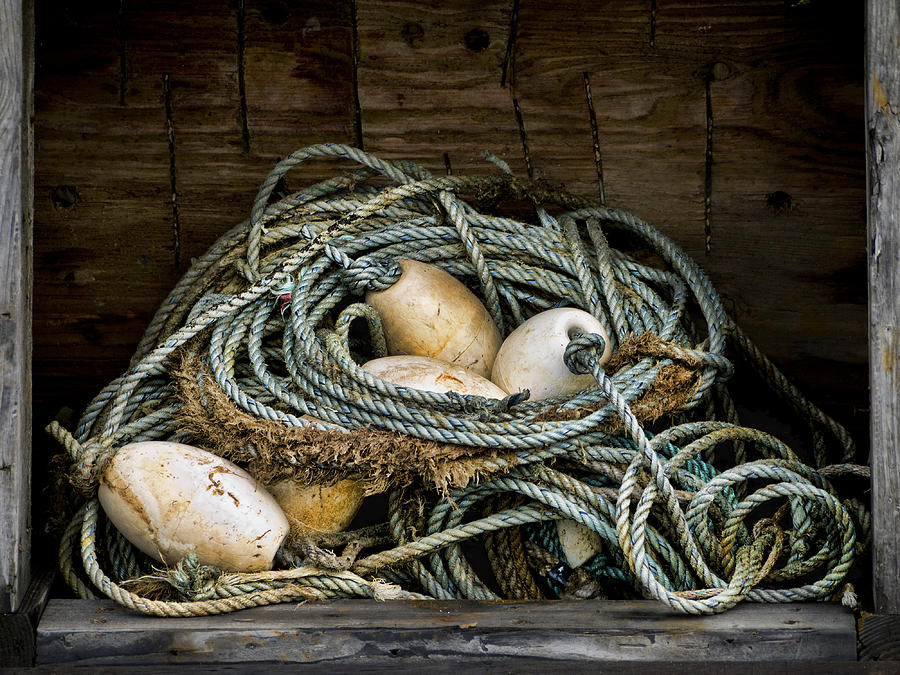 Rope Photograph - Buoys in a Box by Carol Leigh