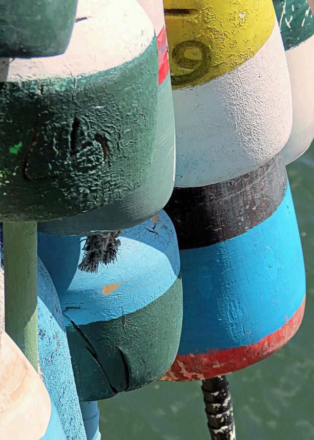 Buoys Tied Up Photograph by Janice Drew