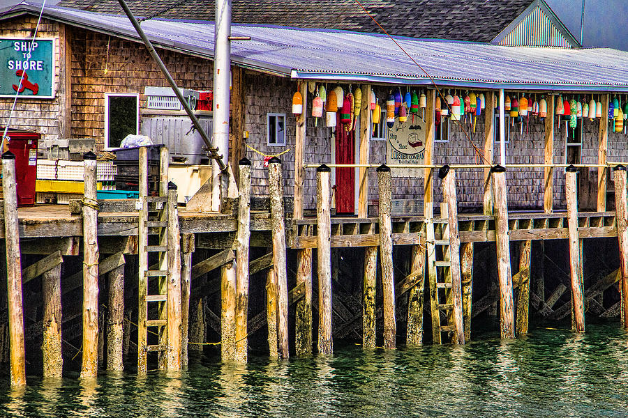 Buoys On The Pier Photograph by Steven Bateson