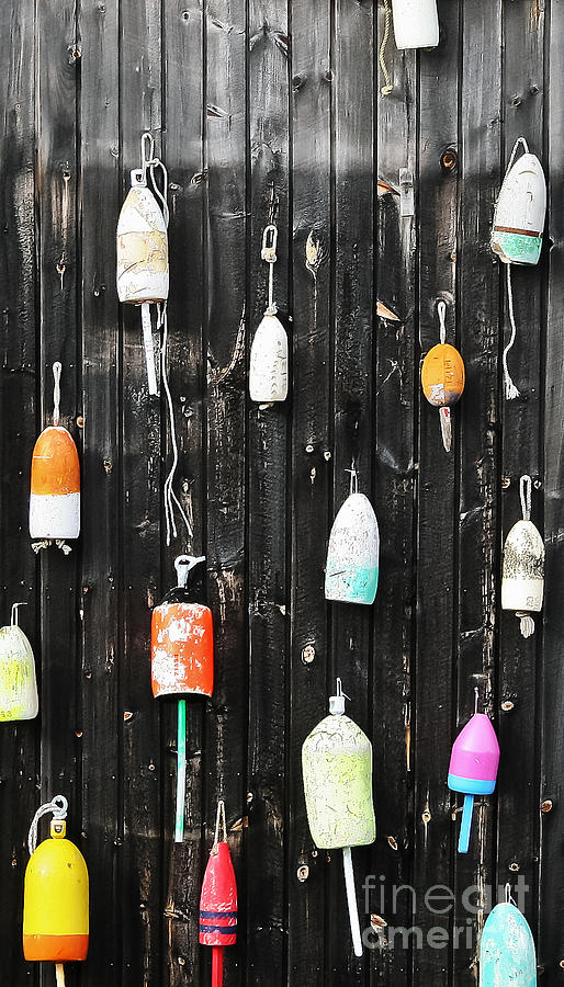 Buoys on the Wall Photograph by Elvis Vaughn