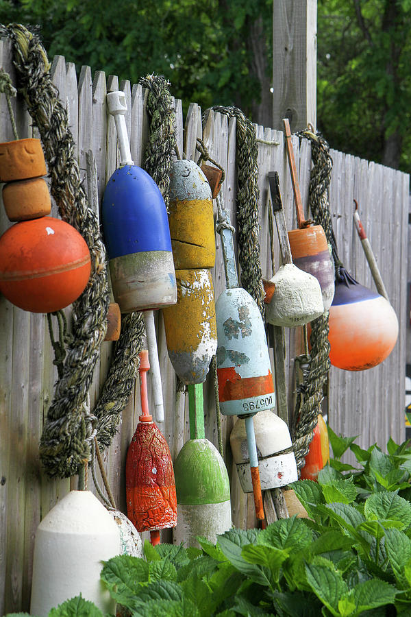 Summer Photograph - Buoys Outside Lucy Js Jewelry by Susan Pease