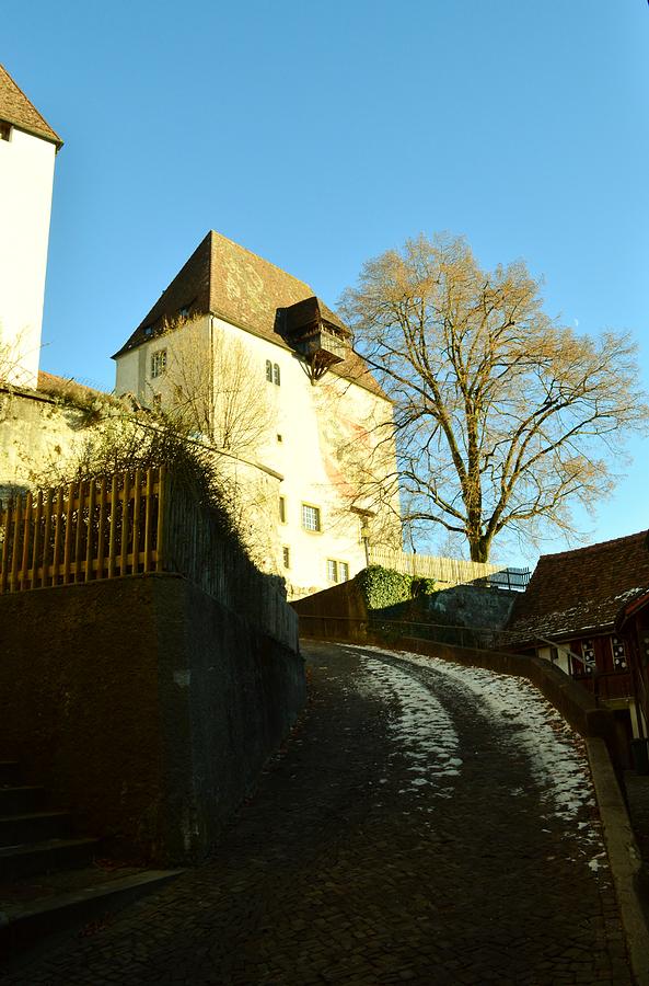 Castle Photograph - Burgdorf castle in December by Felicia Tica
