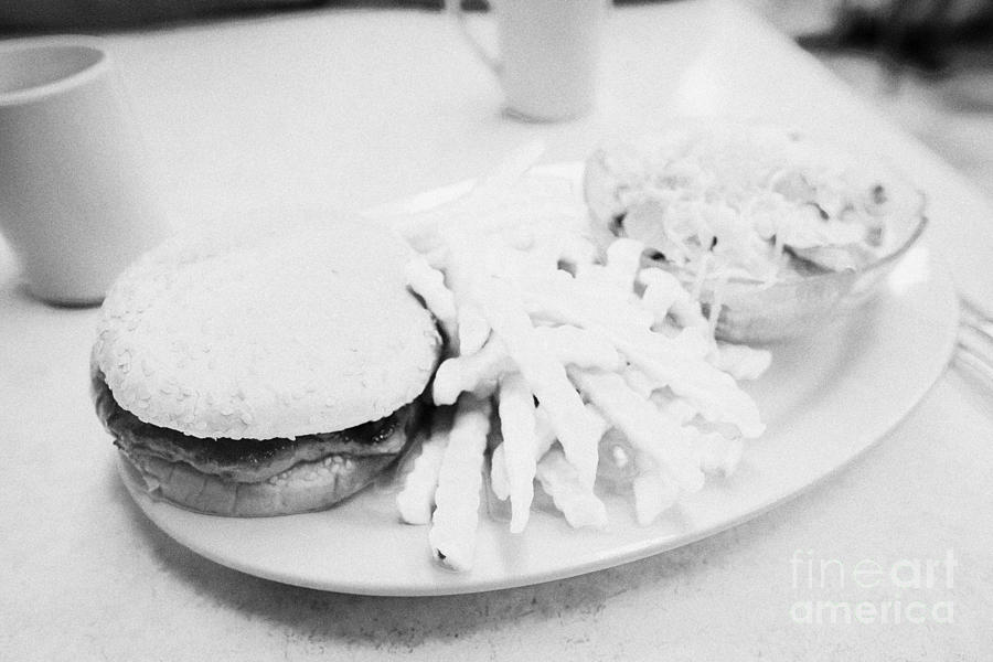 Burger Photograph - Burger Crinkle Cut Fries And Salad In A Cheap Diner In North America by Joe Fox