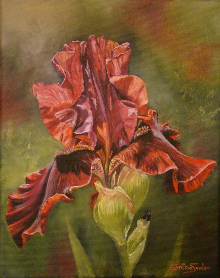 Burgundy Iris Painting by Cynthia Snider
